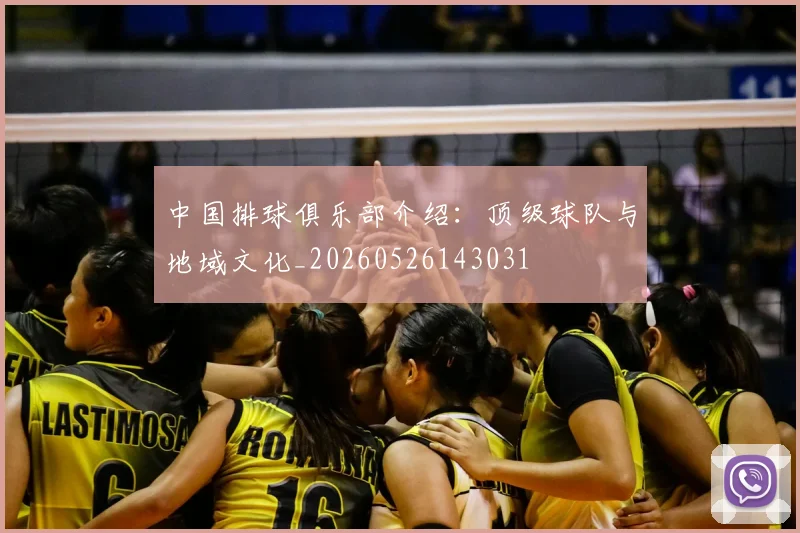 中国排球俱乐部介绍:顶级球队与地域文化_20260526143031